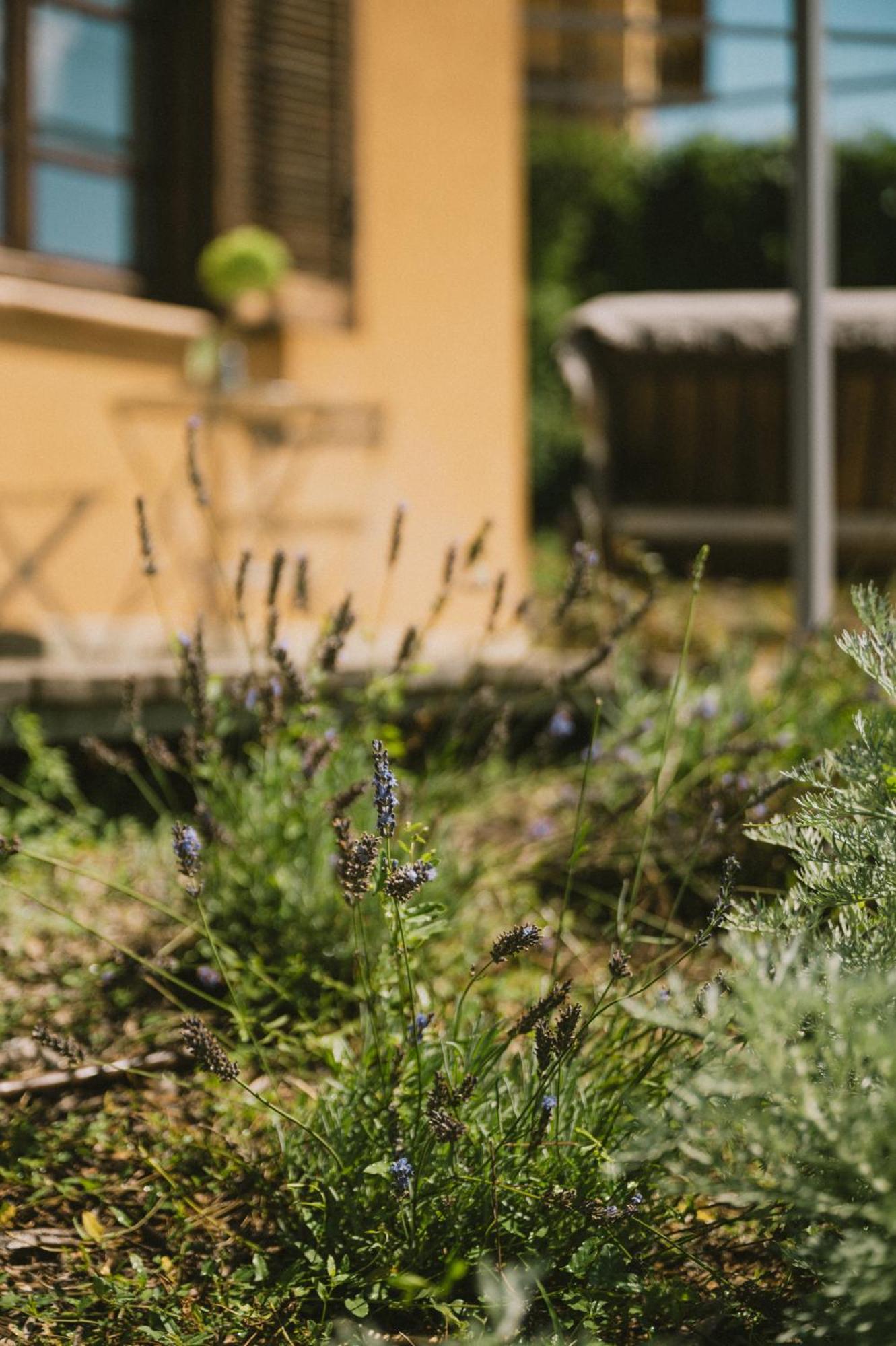 Casa Kiko Pecetto Bed & Breakfast エクステリア 写真